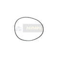 151419 ORING para LOADLIFTER 151419