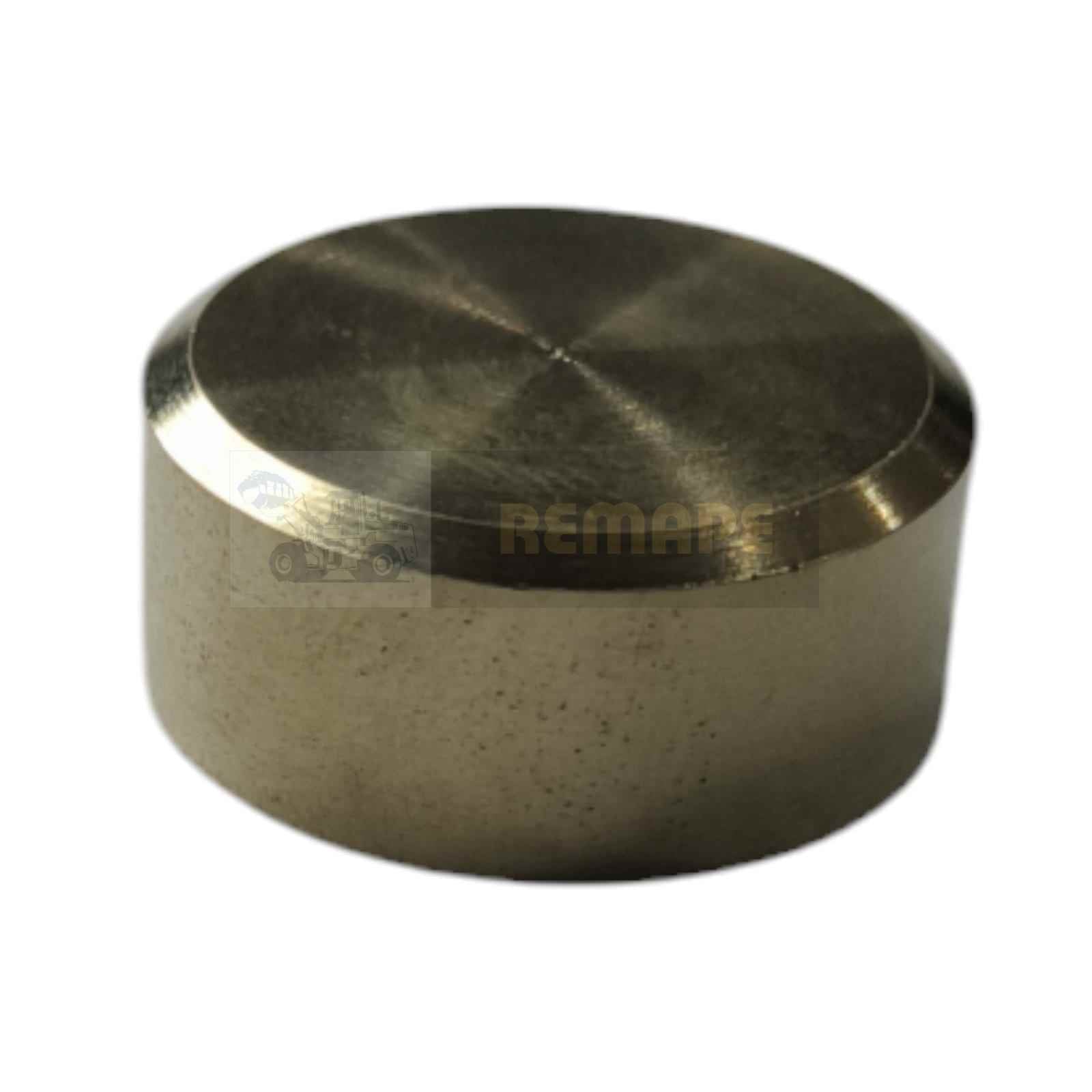 384309A1 TORNILLO DE TOPE para CASE 384309A1