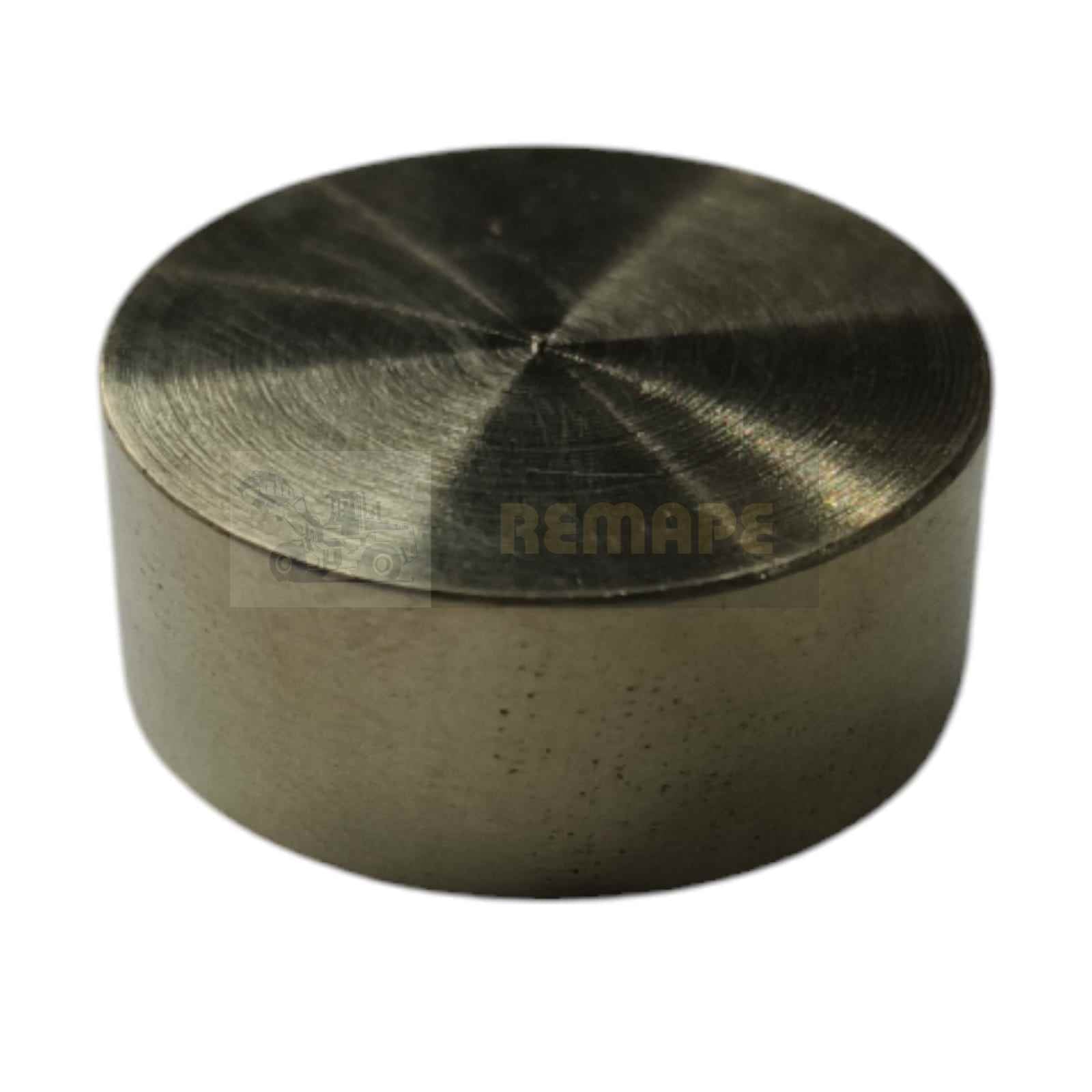 384309A1 TORNILLO DE TOPE para CASE 384309A1